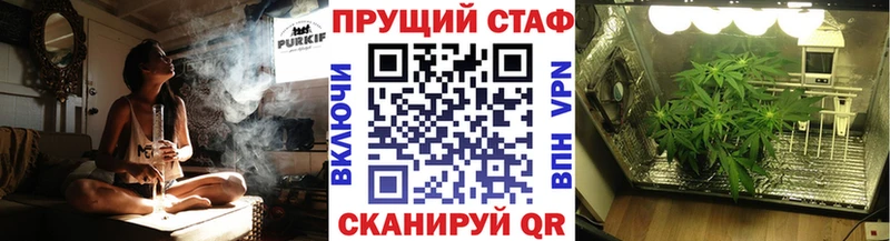 Меф Тогучин