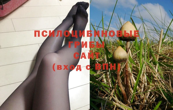 apvp Арсеньев