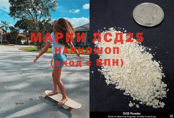 ПСИЛОЦИБИНОВЫЕ ГРИБЫ Аркадак