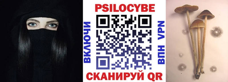 Псилоцибиновые грибы мицелий  где можно купить   Тогучин 