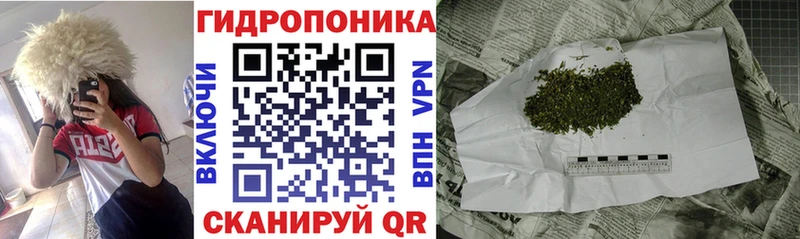 Шишки марихуана конопля  KRAKEN как войти  Тогучин  где найти наркотики 